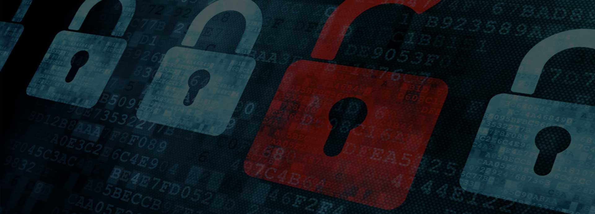 Política de Privacidad